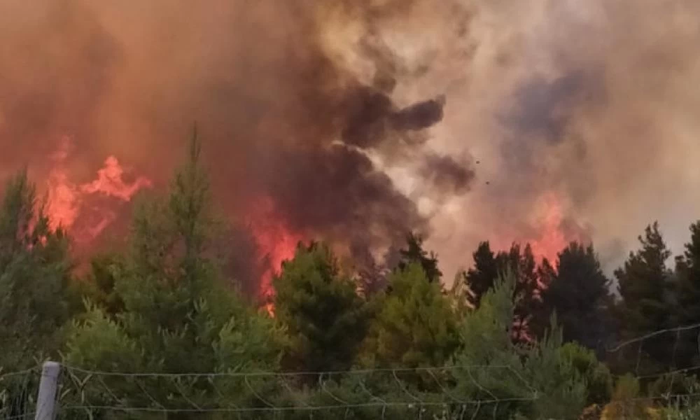 Φωτιά στο Μαρτίνο: Έκλεισε η εθνική οδός Αθηνών - Λαμίας